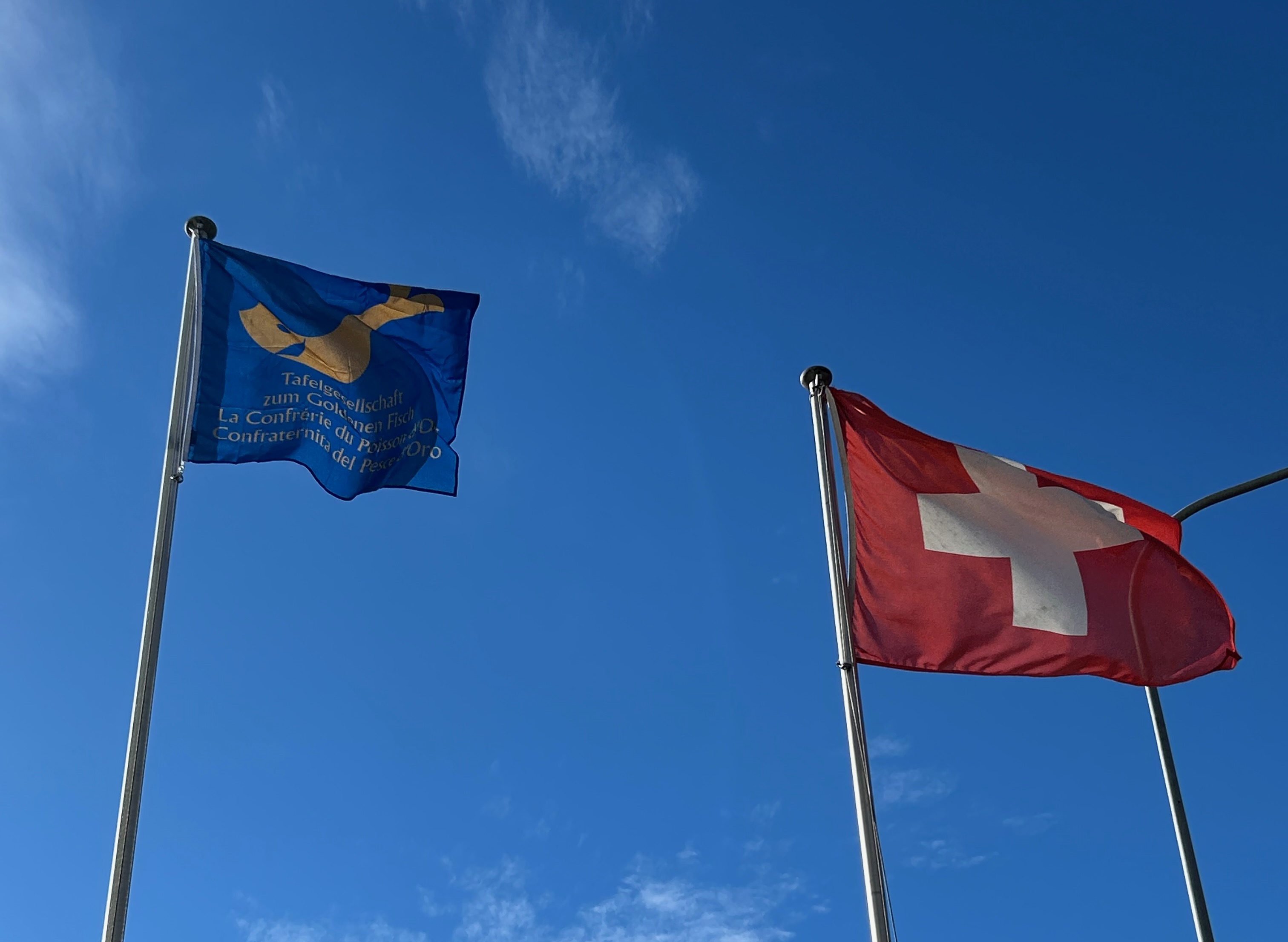 Netztreffen 19