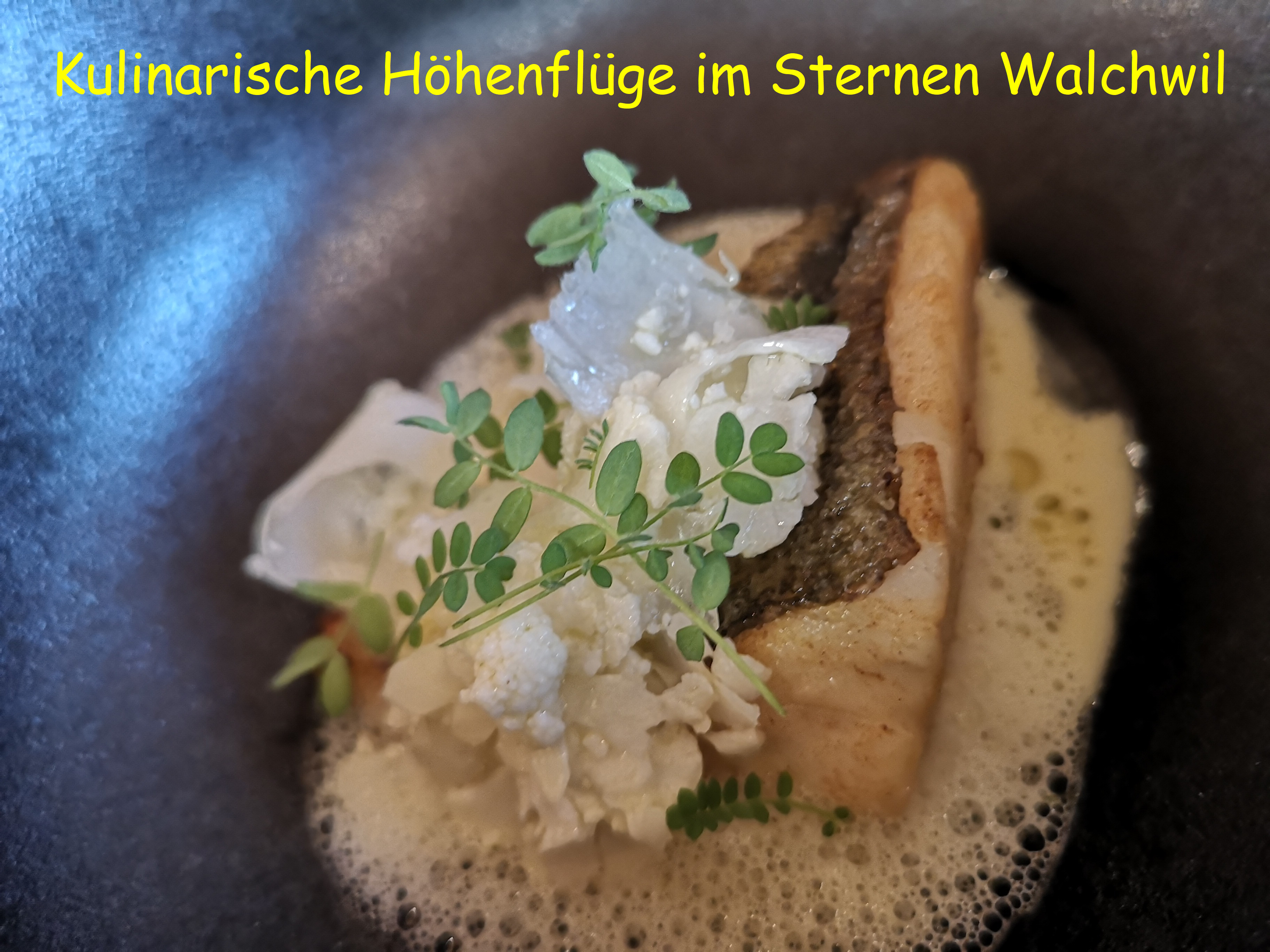 Netztreffen 12